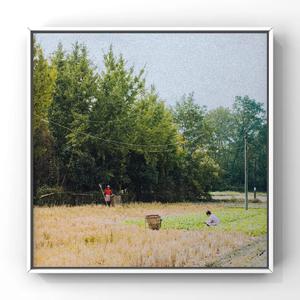 猎户H圆房～H嗯啊1V2
